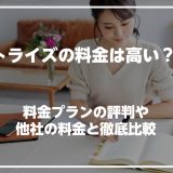 トライズの料金は高い？料金プランの評判や他社の料金と徹底比較