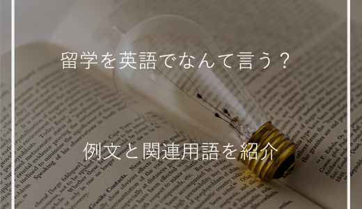 留学を英語でなんて言う？例文と関連用語を紹介