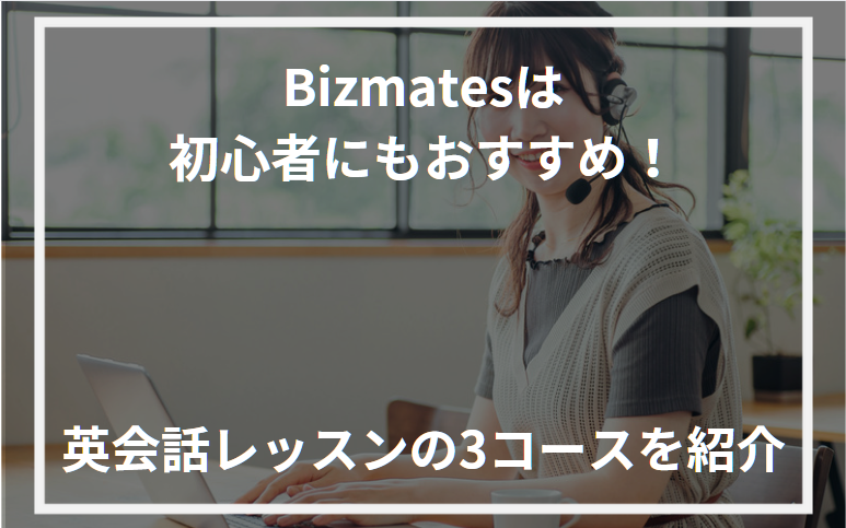 アイキャッチBizmates初心者